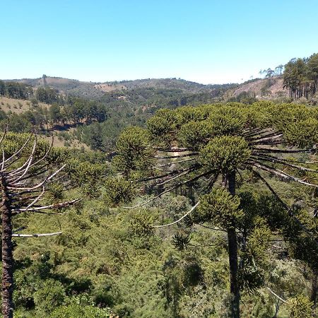 Apto Nas Montanhas Campos do Jordão Eksteriør billede